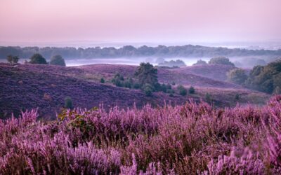 Secret Places in The Netherlands